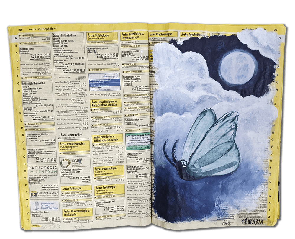 The Fall of the Mountain Moth
